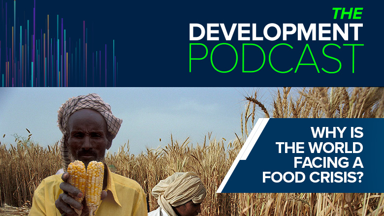 Why Is the World Facing a Food Crisis? The Development Podcast