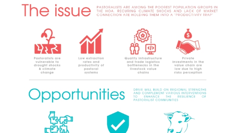 In a Nutshell: The De-risking, Inclusion and Value Enhancement of Pastoral Economies in the Horn of Africa (DRIVE) Project