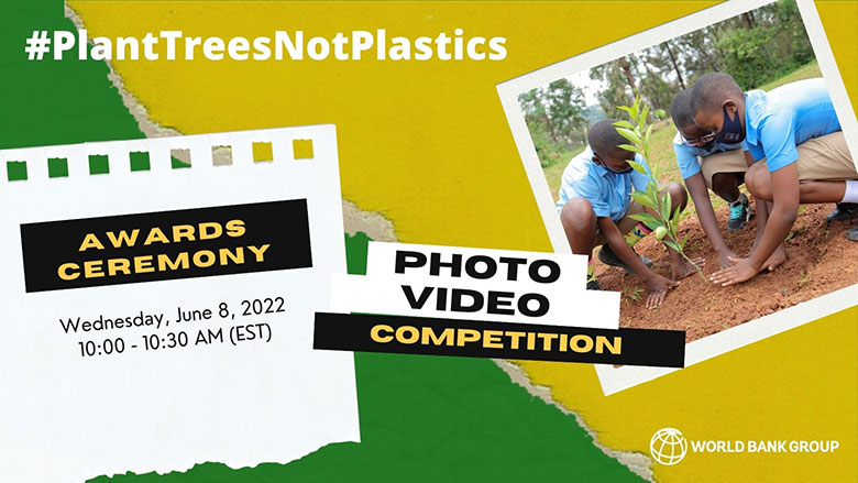 Plant Trees, Not Plastics: Announcing the Winners