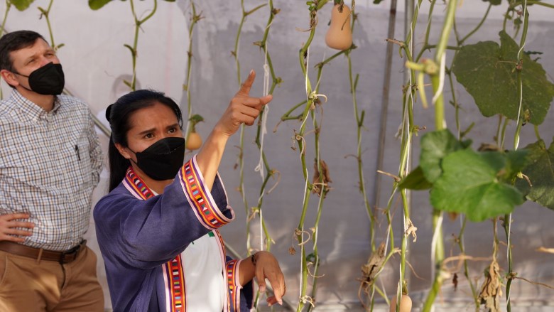Viengsavanh Khammanyvong, a co-founder of Pawan Farm outside the Lao capital, Vientiane, shows butternut squash growing to visitors Image