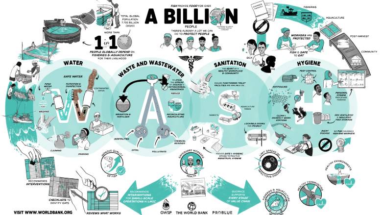 Improving Water, Sanitation and Hygiene Conditions in Fisheries