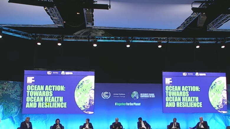 Screenshot Ocean Panel at COP 26