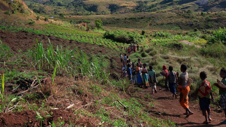 Amazon Sustainable Landscapes Program 