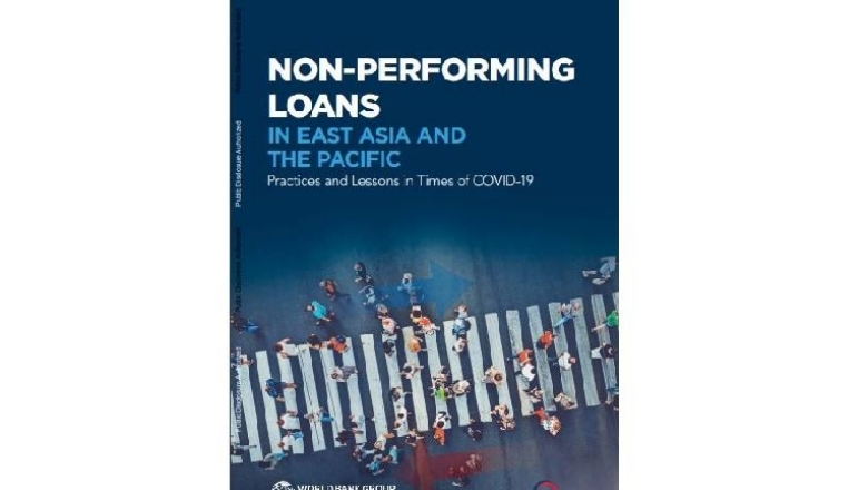 Non-performing-loans.JPG
