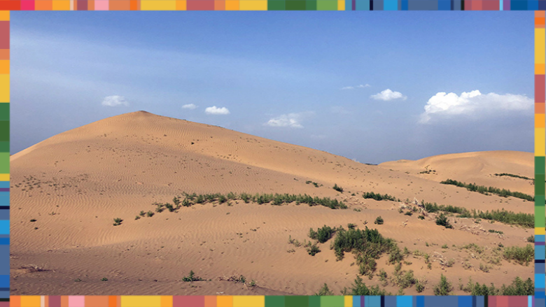 Sand dunes become mobile due to loss of vegetation cover