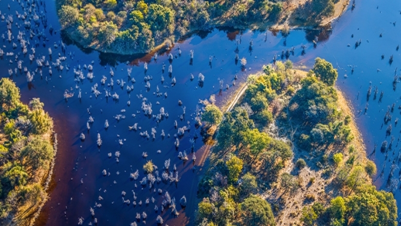 We can no longer grow our economies by degrading our natural capital