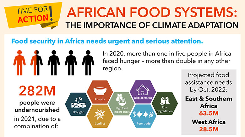 African Food Systems: The Importance of Climate Adaptation