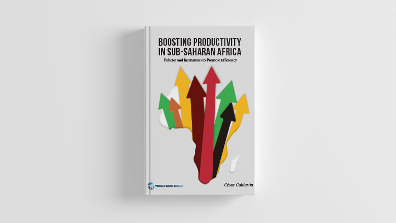 Boosting Productivity in Sub-Saharan Africa : Policies and Institutions to Promote Efficiency