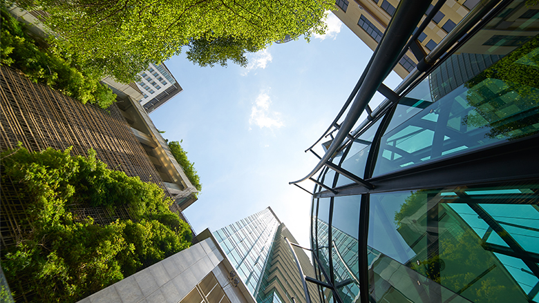 Photo from below showing the top of buildings and trees