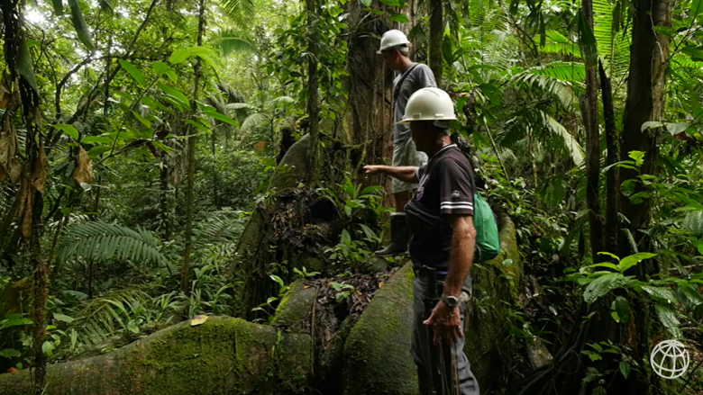 Costa Rica | Forests