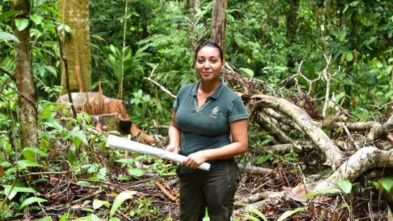 Costa Rica's Forest Conservation Pays Off