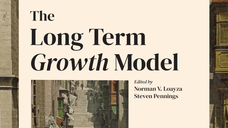 Cover of The Long Term Growth Model eBook