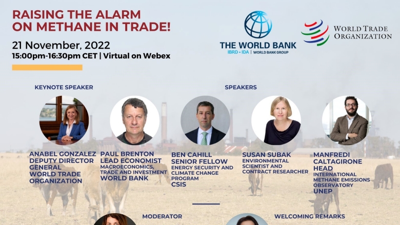 Raising the alarm on Methane in trade