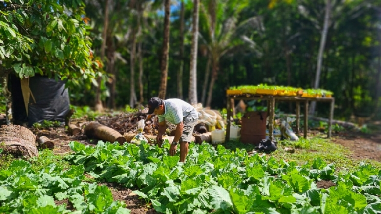 Samoa is blessed with nutritious local vegetables, but reducing import costs could make imported favorites more affordable