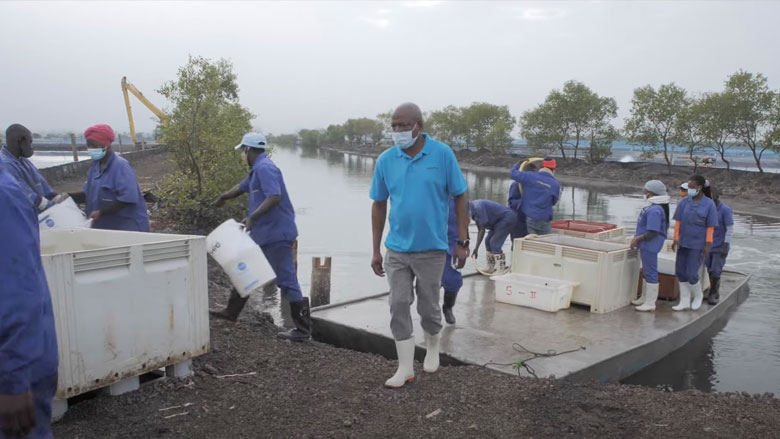 Blue Economy: Stories from the Mozambique’s Integrated Landscape Management Portfolio