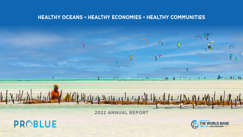 PROBLUE Annual Report Cover 