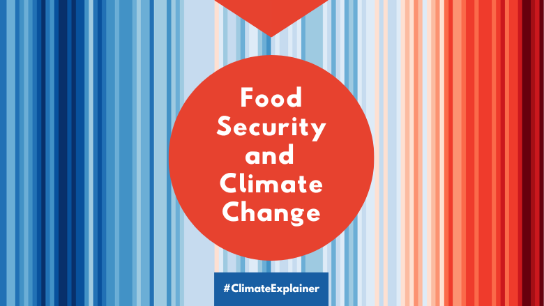Food Security and Climate Change explainer