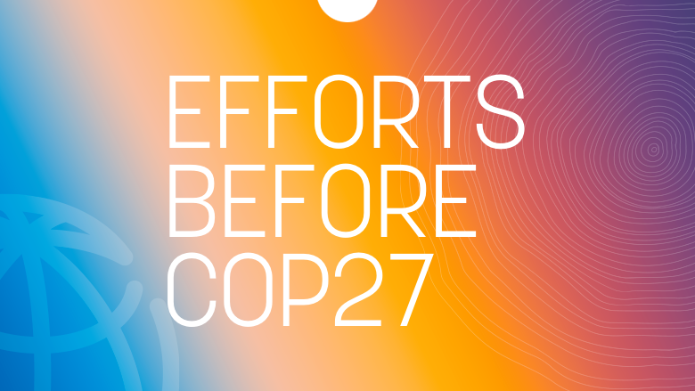 Efforts Before COP27