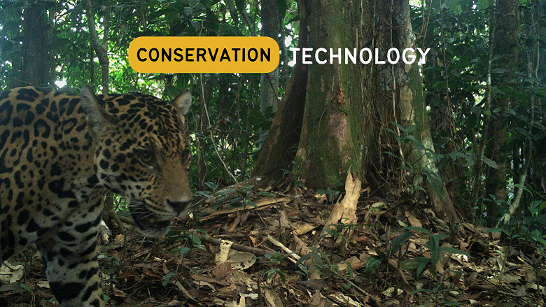 Conservation Technology eBook