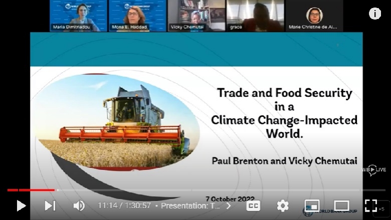 Trade and Food Security in a Climate Change-impacted World