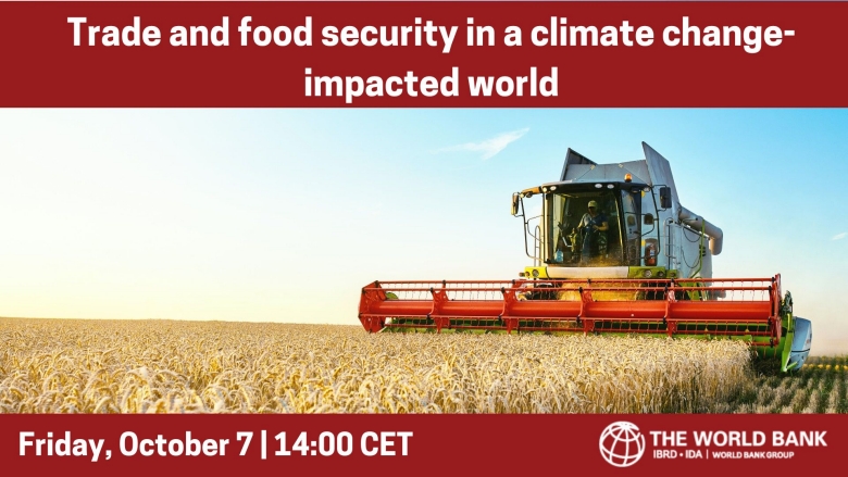 Trade and Food Security in a Climate Change-impacted World