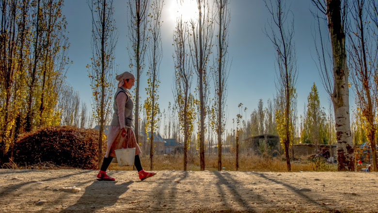 Young woman carrying water in the Kyrgyz Republic