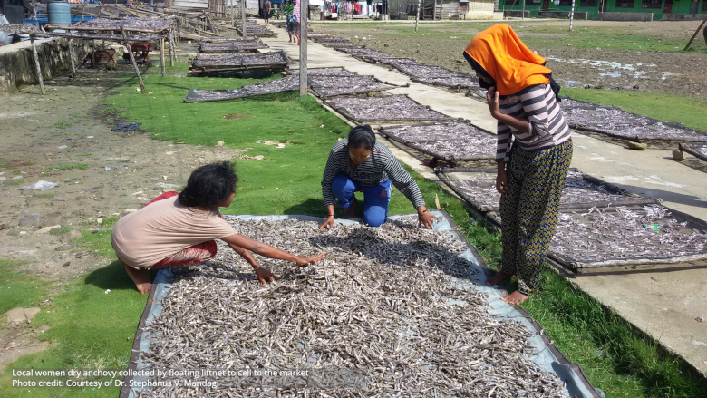 Solutions to Overfishing - Indonesia