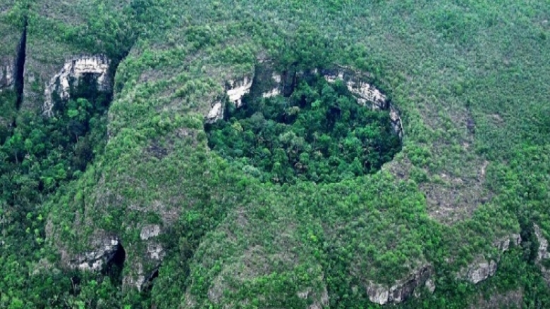 Colombian Amazon Rainforest
