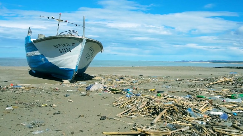 Plastic Free Coastline - Regional Overview