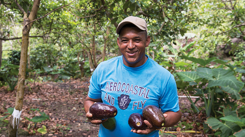 Latin America and the Caribbean - Spotlight