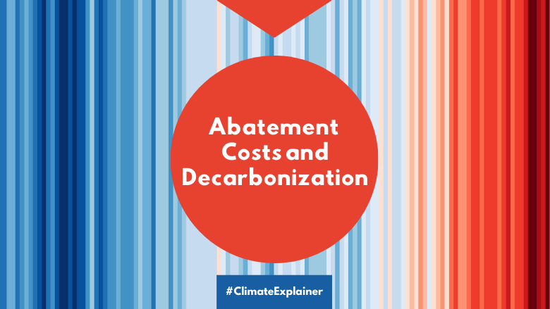 Abatement Costs and Decarbonization explainer