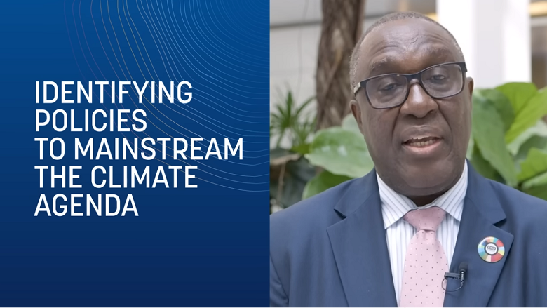 What Are Country Climate and Development Reports and Why Are They Important?