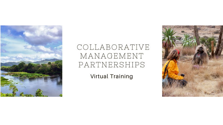 Virtual Training on Introduction to Establishing Effective CMPs