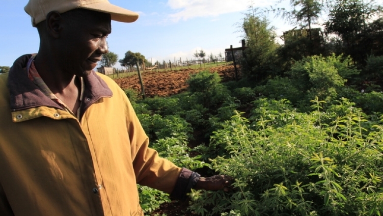 Climate-Smart Agriculture