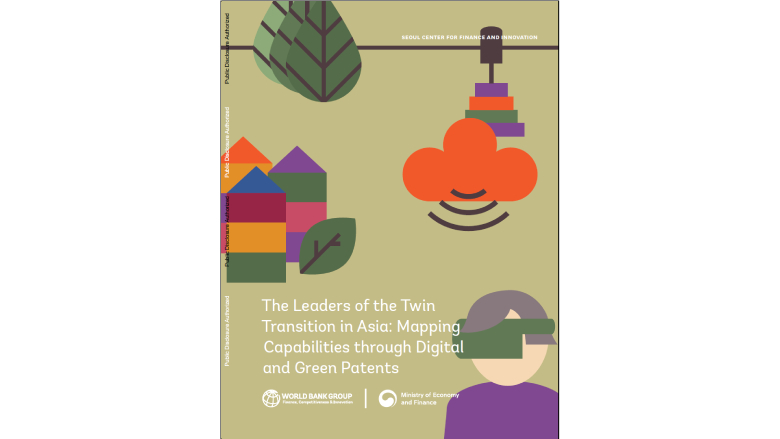 Cover of report entitled Twin Transitions