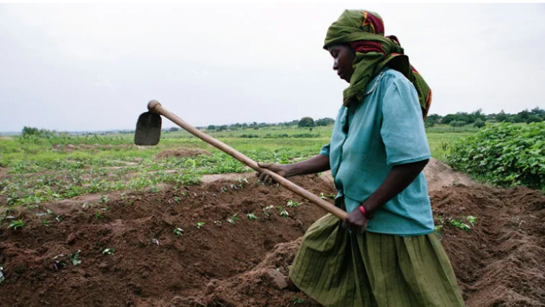 Photo: Scott Wallace / World Bank