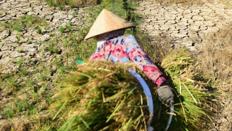 Climate Action in East Asia and Pacific