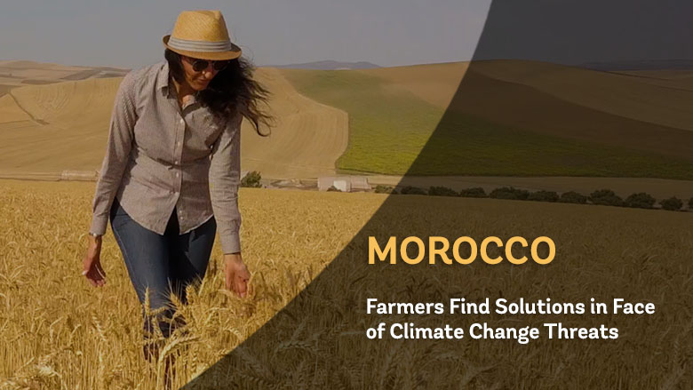 Morocco: Farmers Find Solutions in Face of Climate Change Threats
