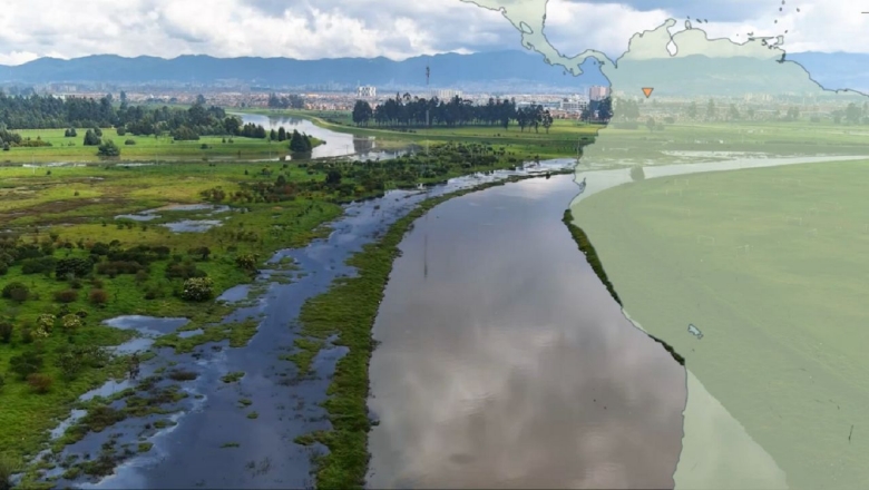 Aerial view of Botogtá's wetlands