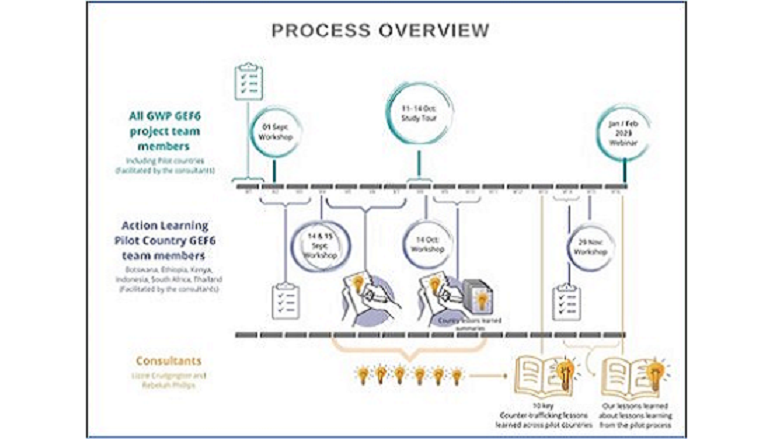 Process Overview