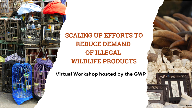 Scaling Up Efforts to Reduce Demand for Illegal Wildlife Products