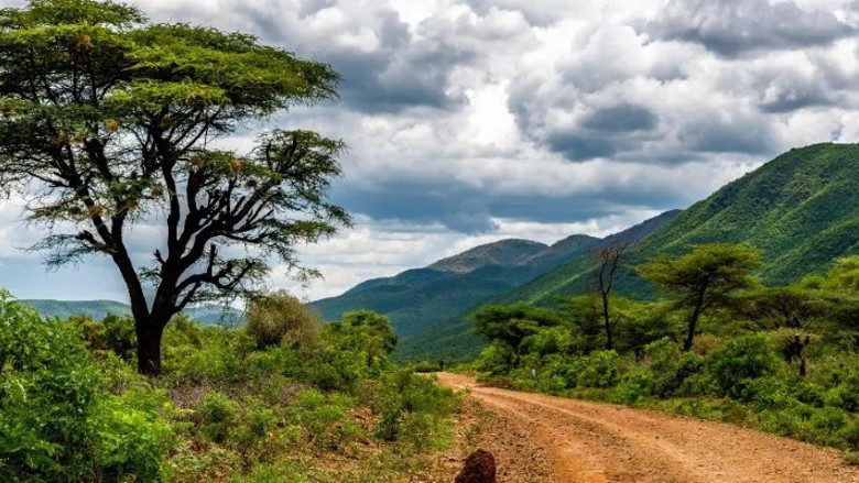 10,000 kilometers of roads in Kenya have been upgraded be resilient to the ravages of climate change through foreign direct i