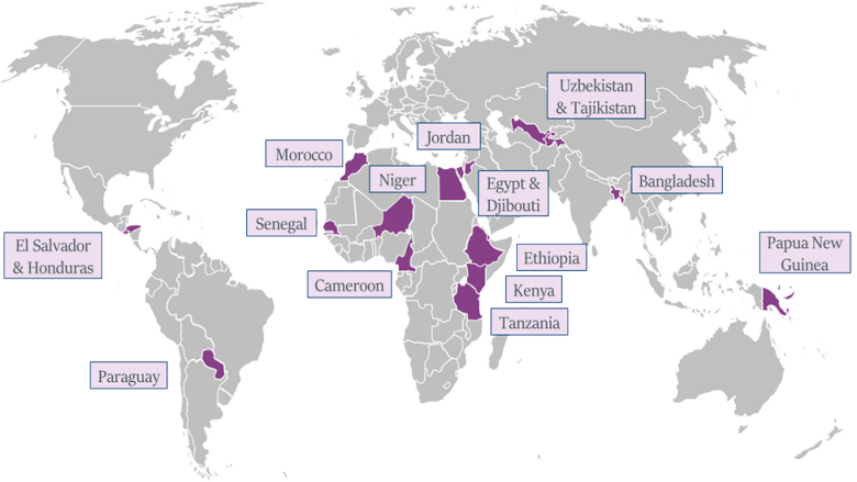 Cohort Fellow Profiles