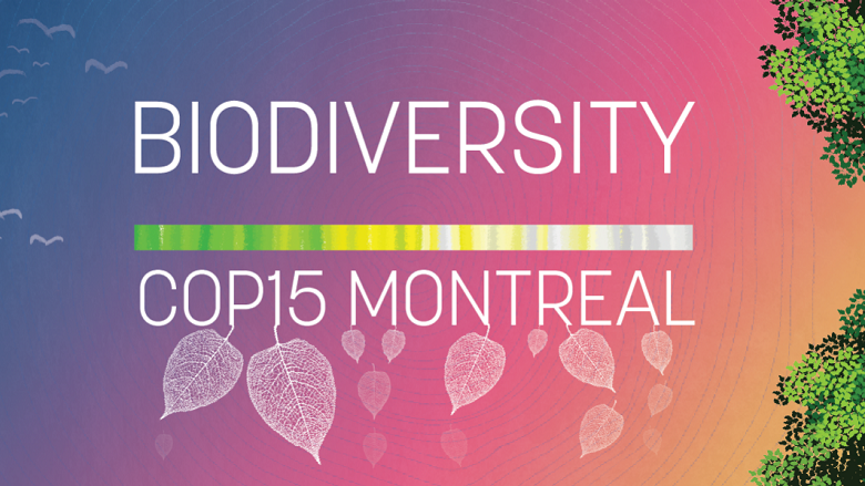 Biodiversity COP15 Montreal