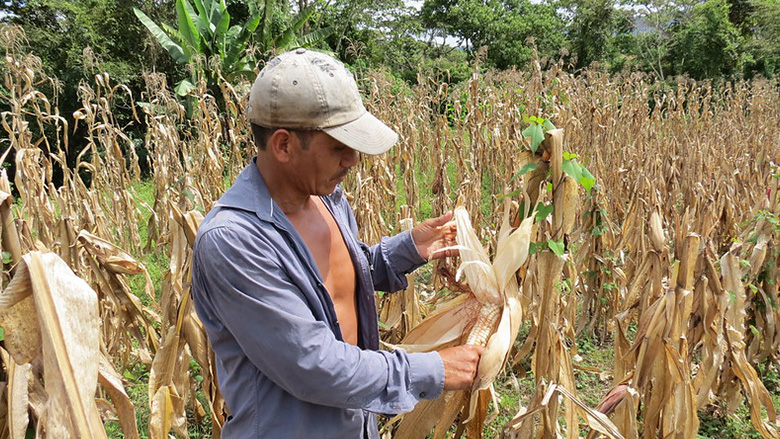 Nicaragua Dry Corridor Project