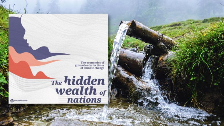 The economics of groundwater in times of climate change report cover
