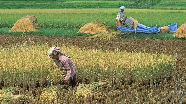 Indonesia Gender Program