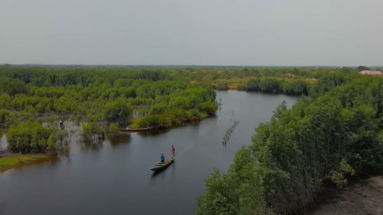 Mangroves in Ghana