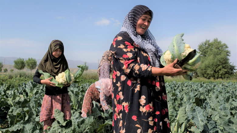 World Bank - Tajikistan 30 years of partnership