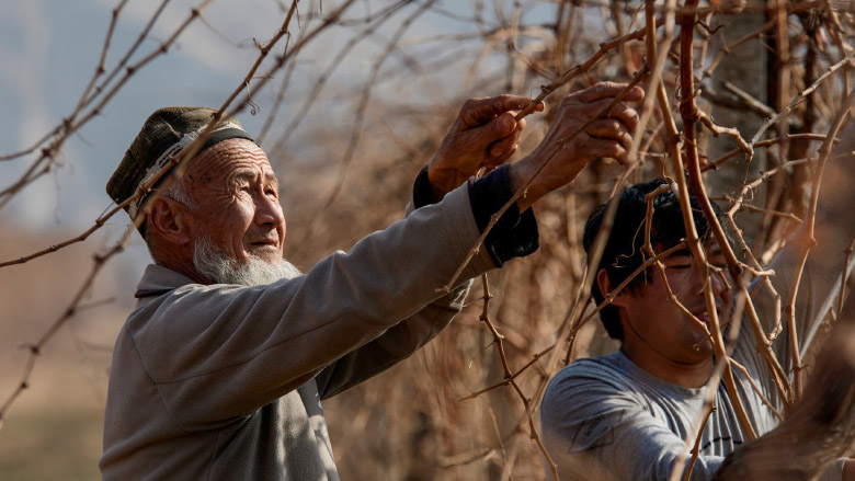 World Bank - Tajikistan 30 years of partnership